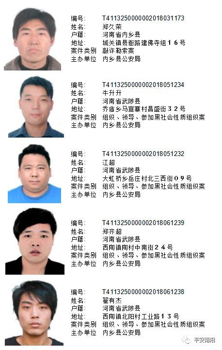 河南警方发布通缉令 市民见到这些人请速报警