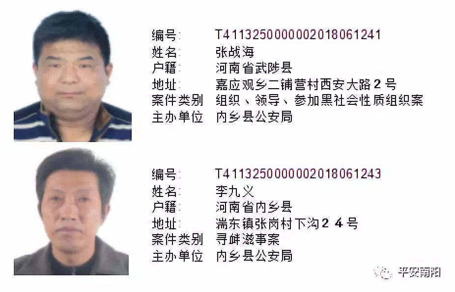 河南警方发布通缉令 市民见到这些人请速报警