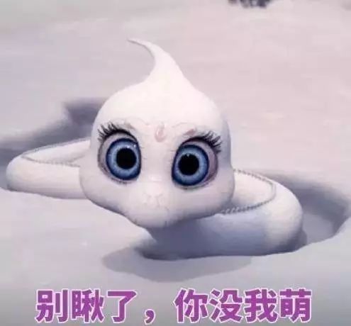 《扶摇》特效小萌宠元宝人气旺,灵动可爱的花