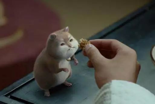 《扶摇》特效小萌宠元宝人气旺,灵动可爱的花