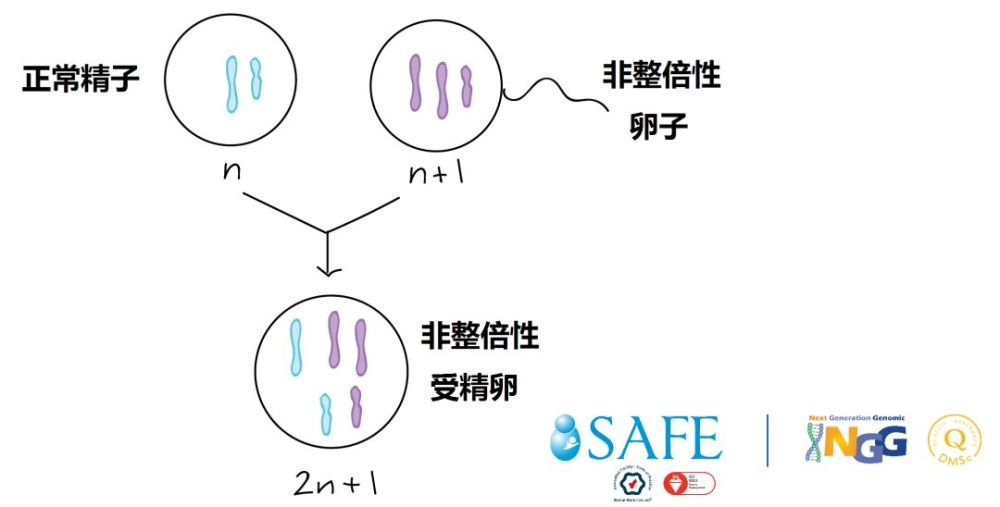 停止发育的胚胎 我该如何拯救你 看点快报