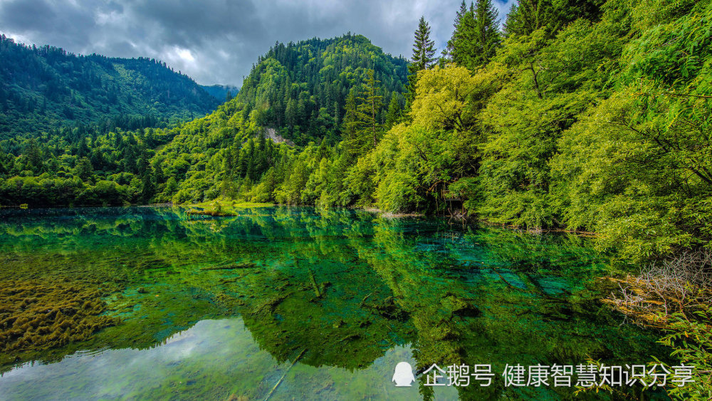 7月5日开始 多财多福 贵人送运 钞票成堆抱回家 躺着数钞票的3大生肖 看点快报