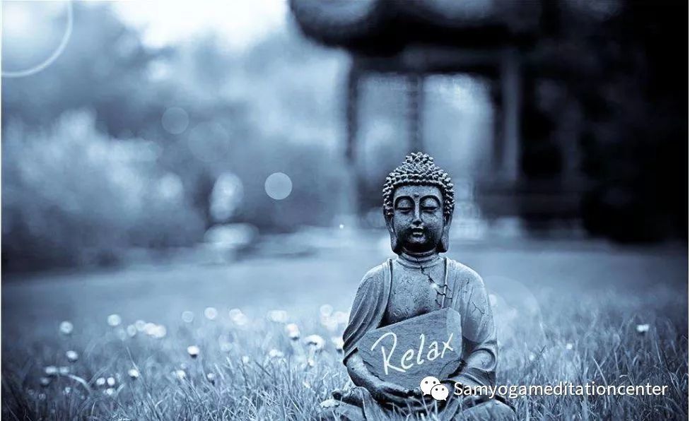 乔布斯与冥想i Jobs And Meditation 看点快报