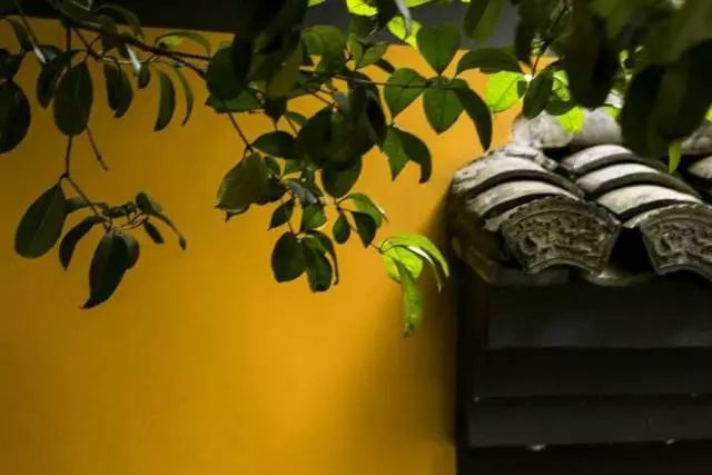 星云大师谈为何要多建寺院