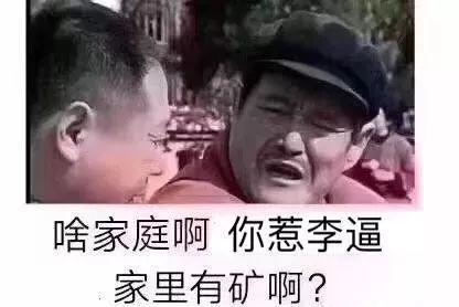 毕竟,一年之中还有什么时机能收获这么多小志的表情包呢?