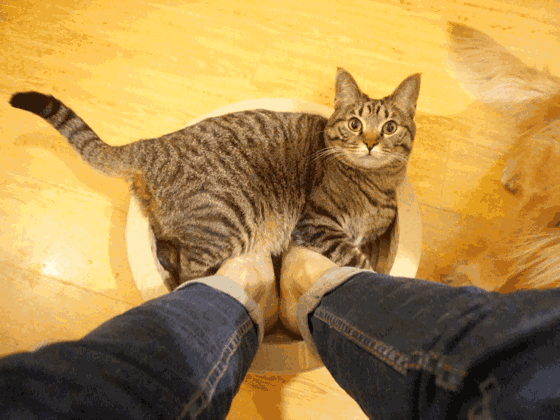 天气暖了,为什么我还是怕冷?答案可能在这4种