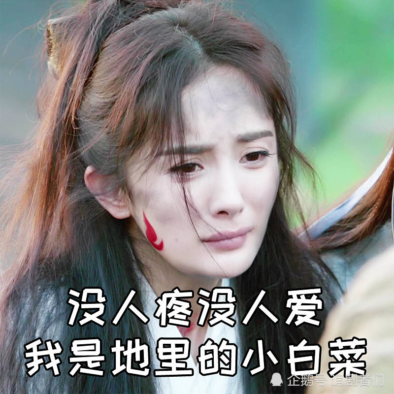 《扶摇》上线20天播放量51亿!杨幂扶摇表情包