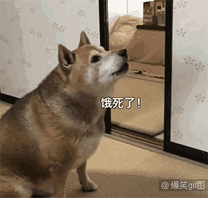 人类进化的历史长河中,饥饿就代表着生死,没饭吃就代表着饿死.