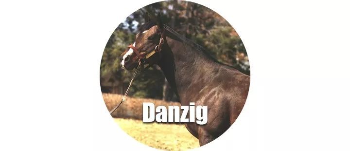 丹山帝国 Danehill 看点快报