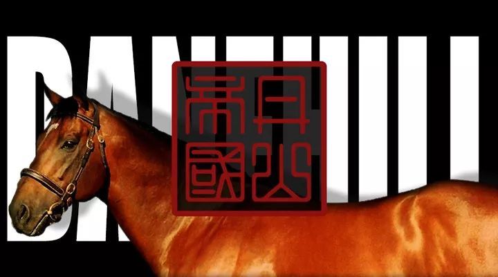 丹山帝国 Danehill 看点快报