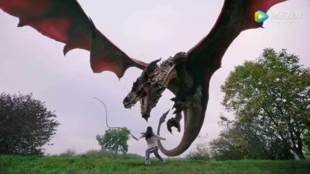 《一千零一夜》:追星界的扛把子,就是她无疑了