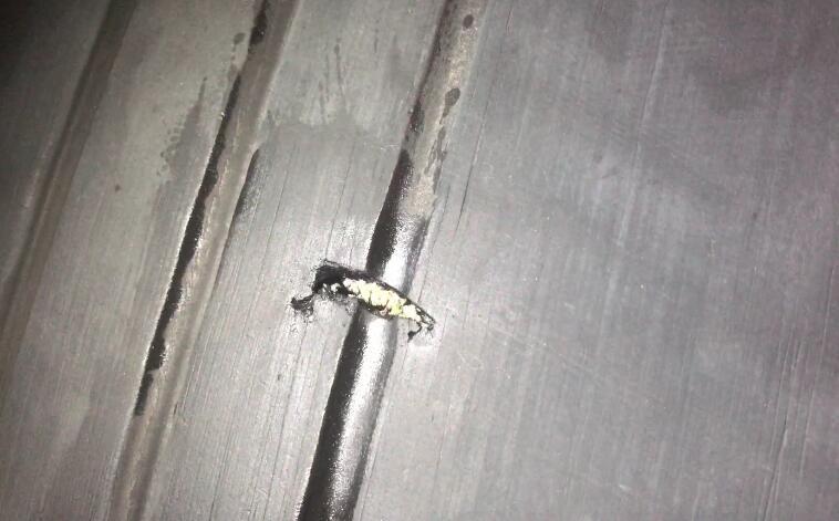 南京飞新加坡航班轮胎破损 故障排除后重新起