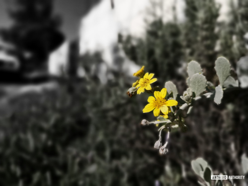 保时捷版华为Mate RS评测:奢侈手机奢侈在哪