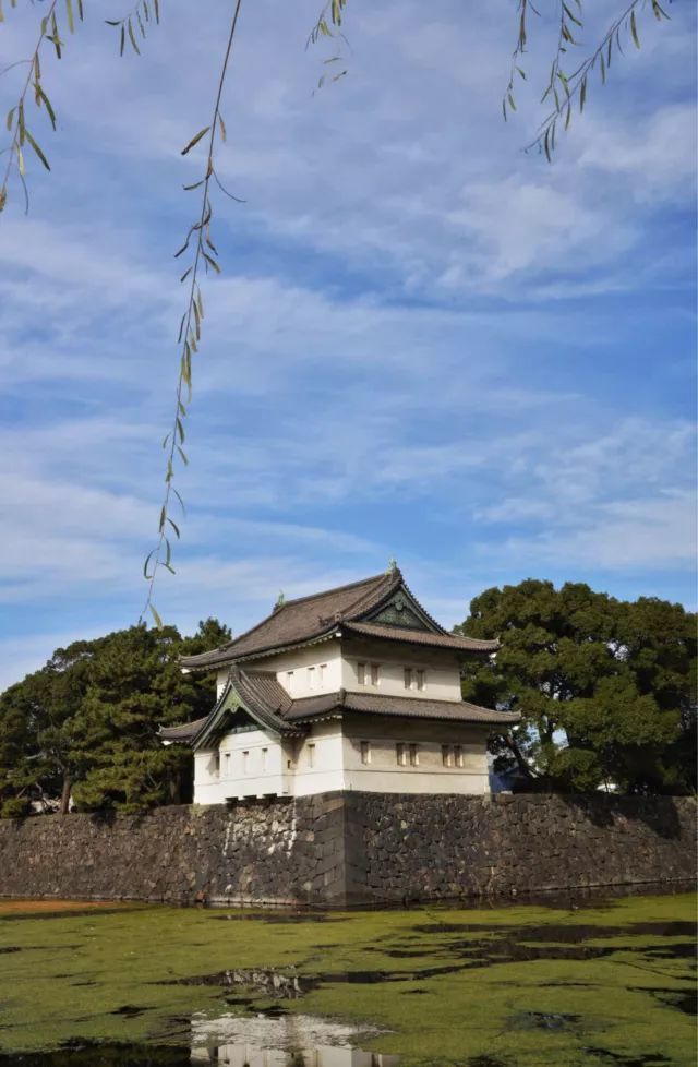 从东京的人潮到富士山的隐逸 盛夏日本旅行 这是最浪漫的打开方式 看点快报