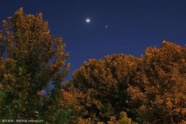 你还在用黄瓜片敷脸美容吗?小心毁了你的脸