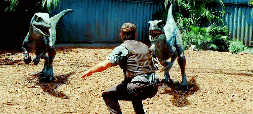 坐着景区的观光车,一路听着不时的嘶吼声,再被突然出现的抬头注视你