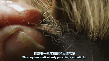 松鼠爱偷,猩猩献殷勤,野生动物到底和人类有多相似?