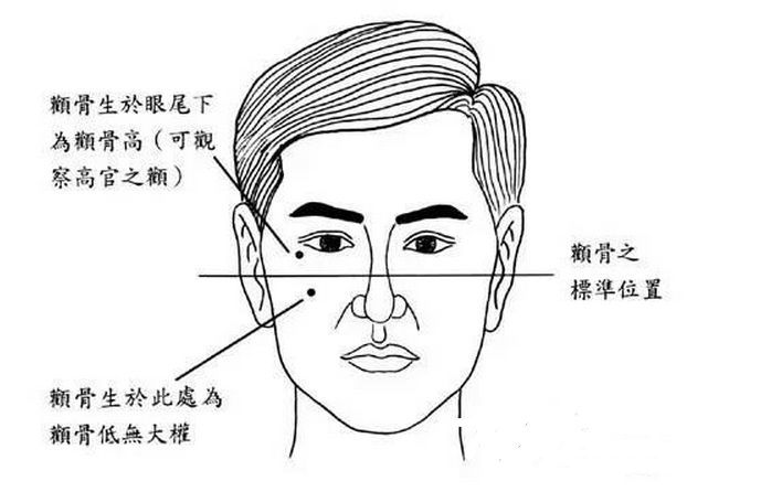 " 颧骨,是面部隆起之处. 《灵枢·五变》中记载,"颧骨者,骨之本也.