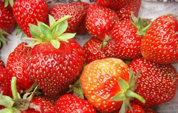 假如给你100000元,这四种水果戒掉一种,戒一辈