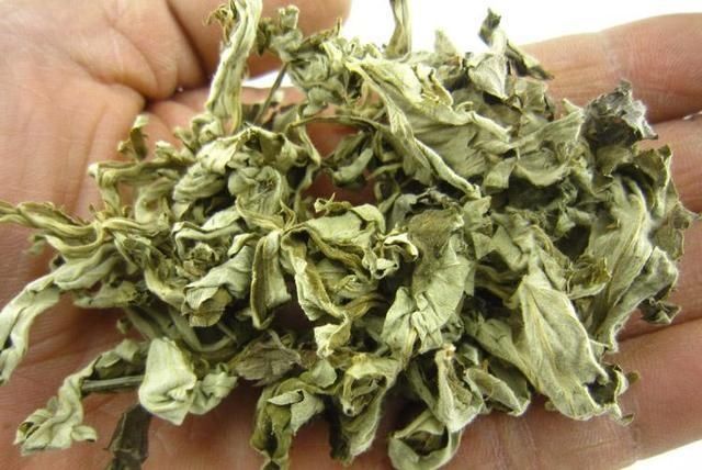 脚气怎么治?2个中医土方法,治疗脚气、脚臭棒