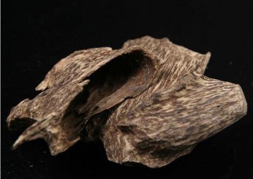 夏日熏香之三大香木的品闻 看点快报