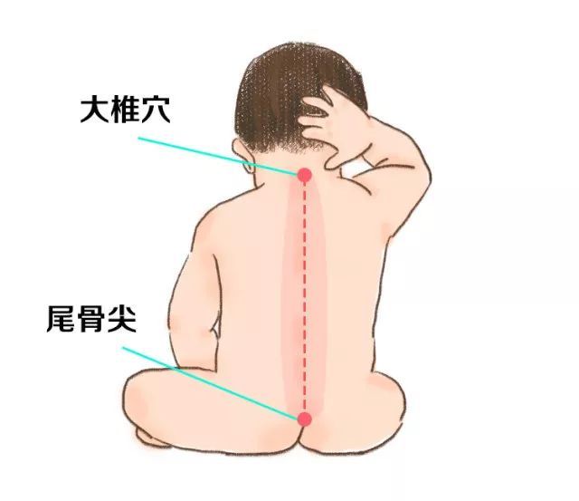 冬病夏治 你不得不学的明星手法 看点快报