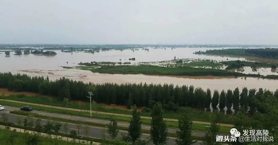 渭河洪峰过境西安高陵段,淹没"泾渭分明"处,吸引近万名市民围观!