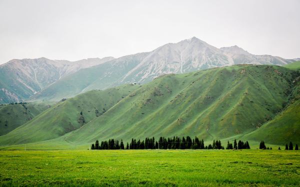 中国面积第一大省:相当于4个日本,16个韩国