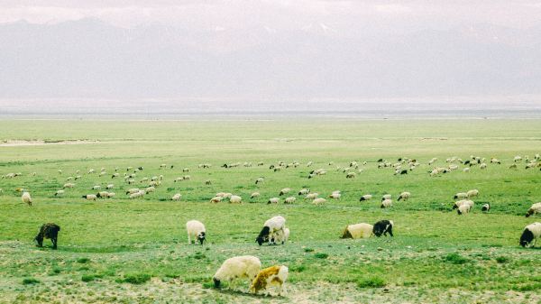 中国面积第一大省:相当于4个日本,16个韩国