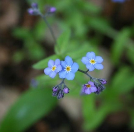 2018经典语录说说大全,句句精辟,写的真到位!