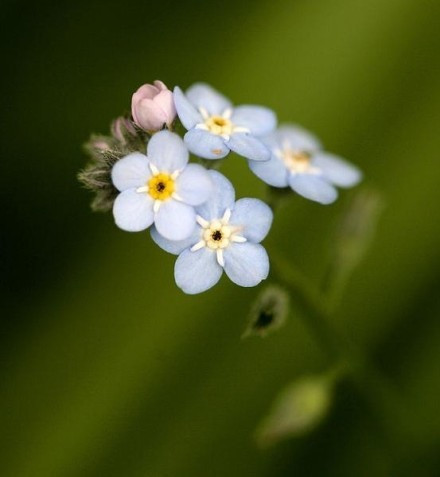 2018经典语录说说大全,句句精辟,写的真到位!