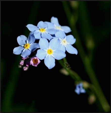 2018经典语录说说大全,句句精辟,写的真到位!