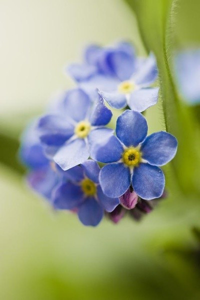 2018经典语录说说大全,句句精辟,写的真到位!