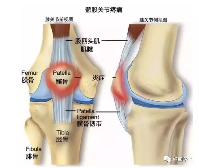 保护膝盖,就用这几招!