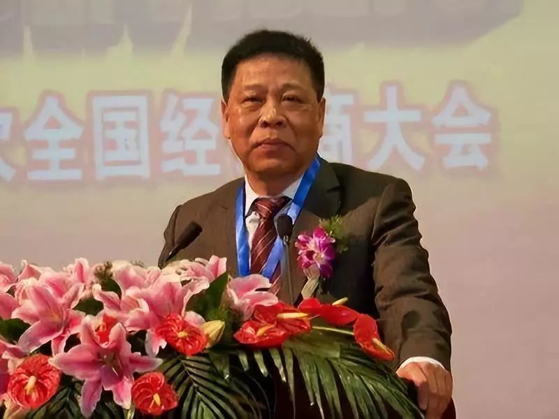 雕牌董事长_雕牌洗衣粉