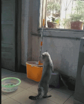 尾巴可以当板凳了