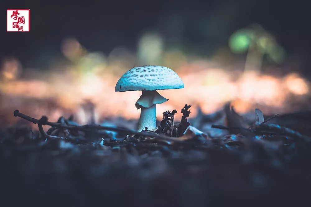 十句老话,字里行间充满人性,教你识遍身边人