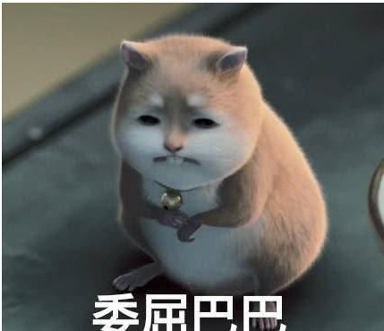 扶摇,元宝喜当爹,一家三口幸福满满,扶摇和无极