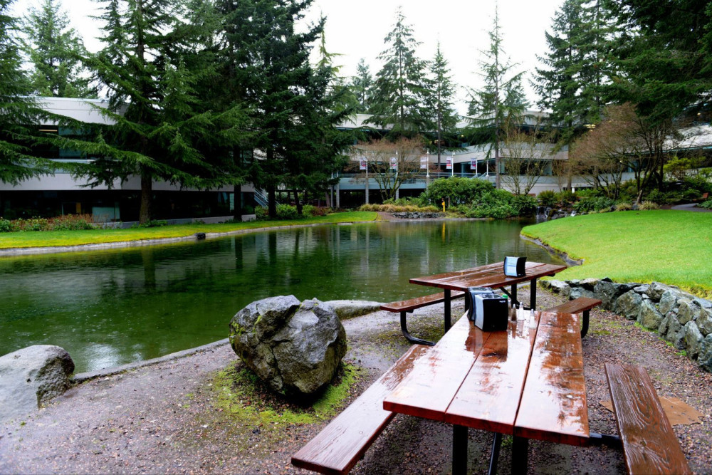 看完苹果和微软的总部 再看看华为终端新总部