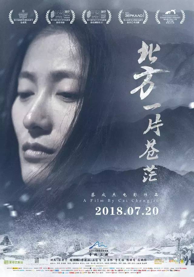 很敢拍的国产片，可惜上映一周就惨遭下映