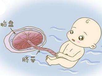 孕妈做B超时,医生弄错胎儿的性别,都是它在捣