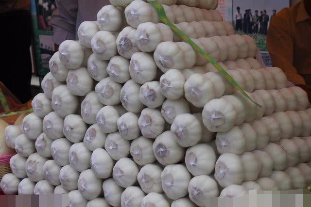 今年的大蒜到底是会涨价还是会掉价?网友说今