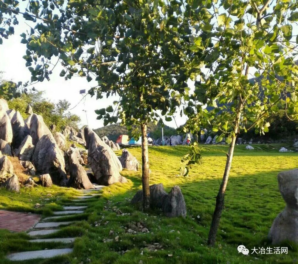 金柯 云中村 一个追梦的地方 看点快报