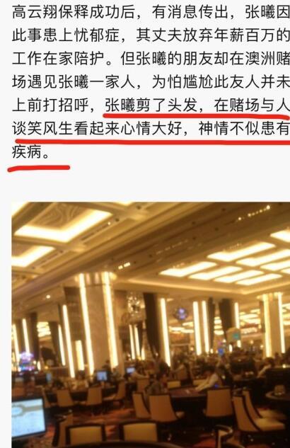 澳洲网友曝出猛料,高云翔案女主张曦的皮包公