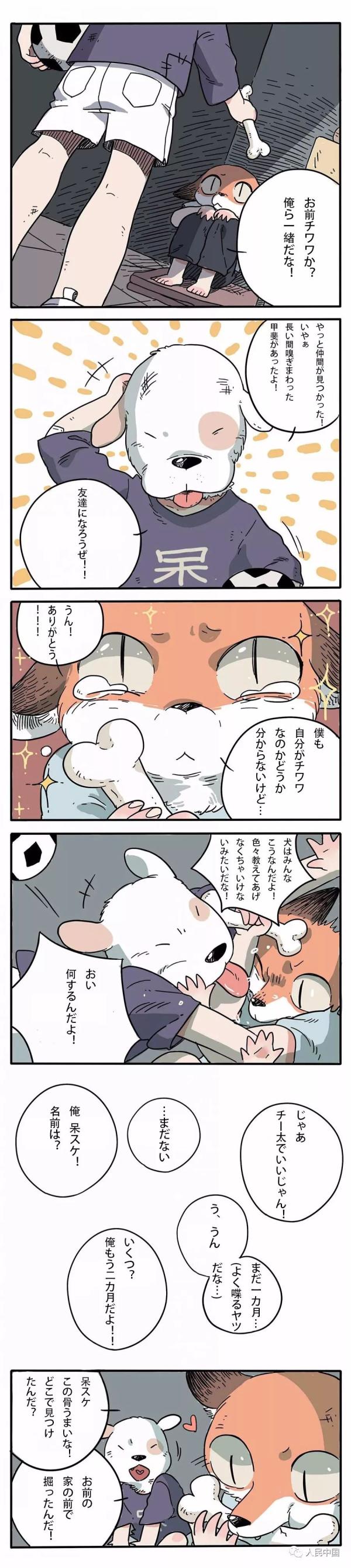 第21期 废柴狐阿桔 第1话 看点快报