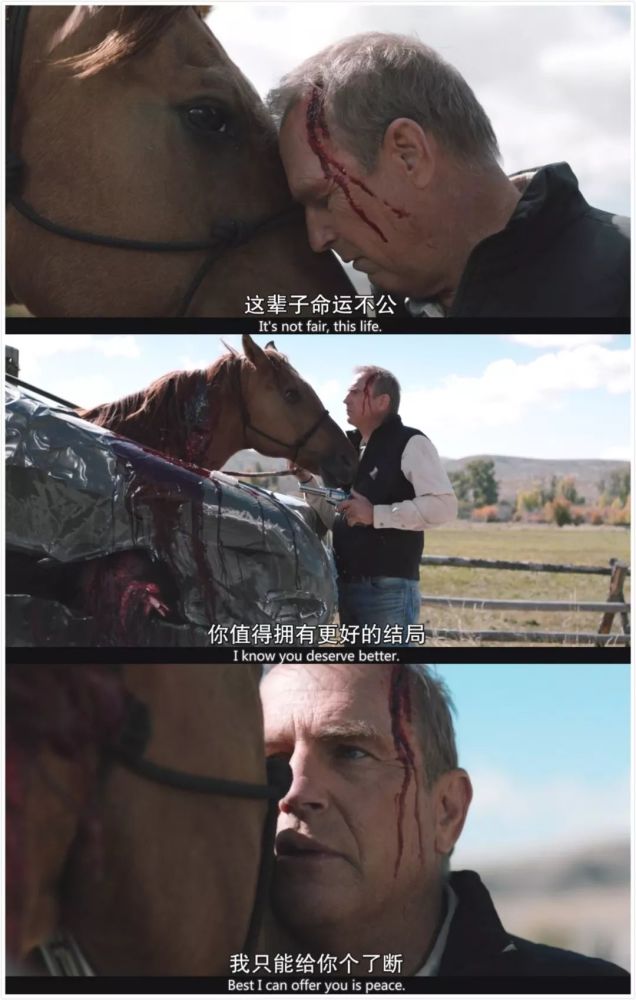 豆瓣8.8分,推一部又影又冷的美剧
