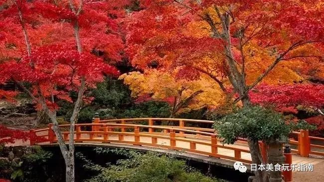 日本三景之广岛宫岛 看点快报