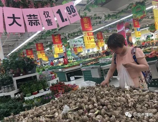 蒜你狠重出江湖,大蒜卖到白菜价,农民欲哭无