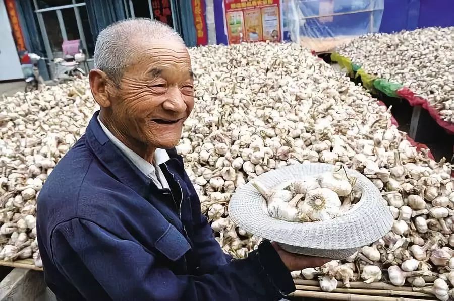 大蒜价格跌破十年来最低,业内人士呼吁蒜农加