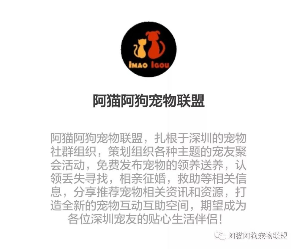 澳门新莆京娱乐网站 4